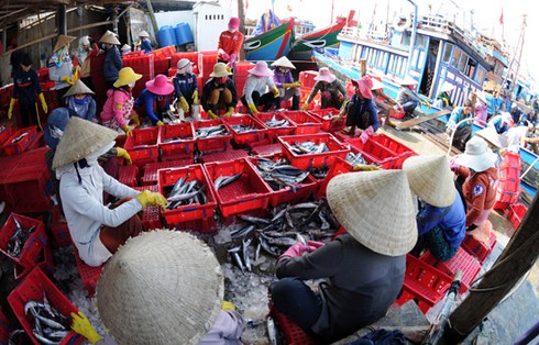 Cảng cá ngày cận Tết - ảnh 2