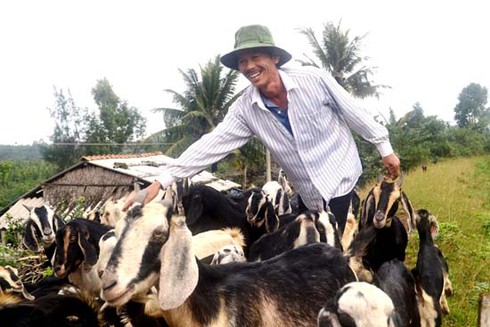 Năm Mùi nói chuyện nuôi dê - ảnh 1