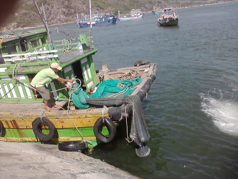 Bình Định: Phát hiện xác chết khi đi đánh cá - ảnh 1
