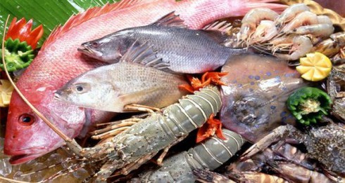 Cách mua hải sản tươi ngon và nhận biết hải sản ủ ướp bằng chất cấm - ảnh 1