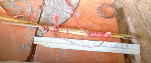 Châm điện giết vợ vì ghen nhưng bất thành - ảnh 1