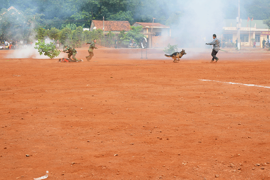 Biểu diễn võ thuật và chó chiến đấu - ảnh 1