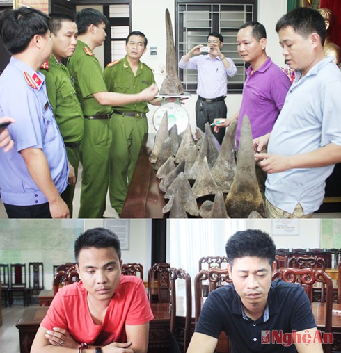 Bắt hai đối tượng vận chuyển 37 kg sừng tê giác - ảnh 1