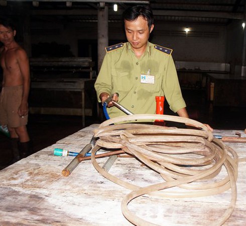 Ám ảnh cảnh heo bị bơm nước - ảnh 2