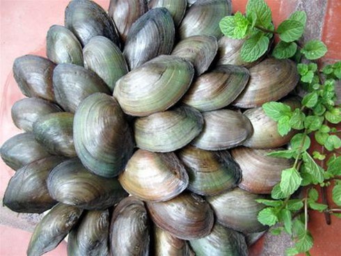 Cách nấu cháo trai ngon cho trẻ em - ảnh 1