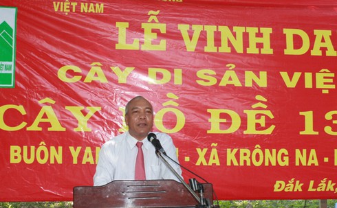 Vinh danh cây bồ đề 132 năm tuổi ở Đắk Lắk - ảnh 2