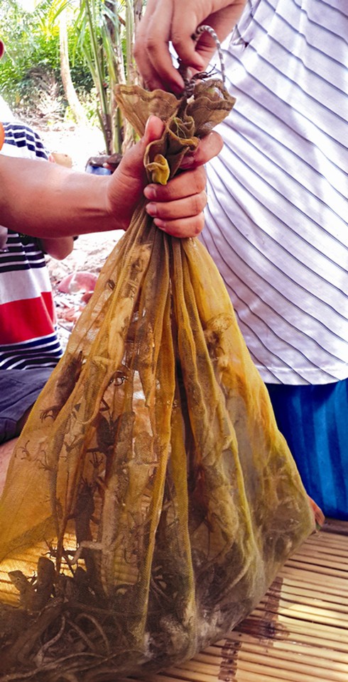 Con gì cũng thành… mồi nhậu - ảnh 2