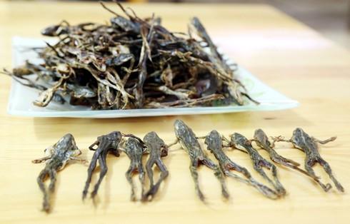 Trải nghiệm thú vị qua cuộc săn “chân dài” - ảnh 1