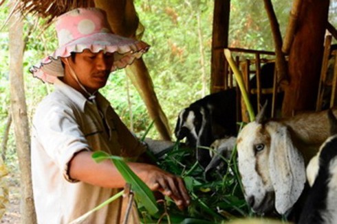 Nghề nuôi “sư phụ” ở Long Khánh - ảnh 5