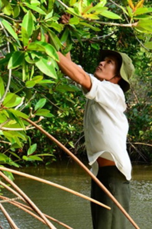 Nghề nuôi “sư phụ” ở Long Khánh - ảnh 4