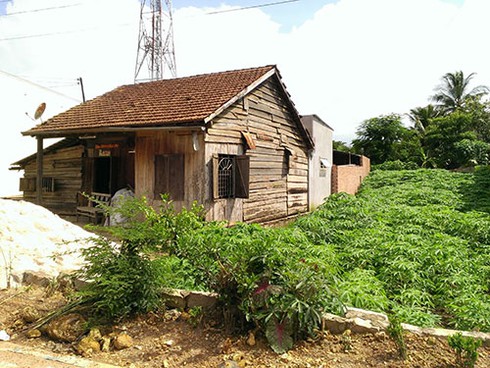 Phát hiện đạn pháo khi xúc đất đắp nền chuồng heo - ảnh 3