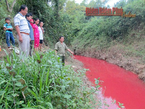 Nước suối màu đỏ, cá chết vì ô nhiễm - ảnh 1