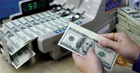 Biến động tỷ giá: Đại gia lỗ đau không chỉ các 'ông lớn' PVN, EVN hay TKV - ảnh 1