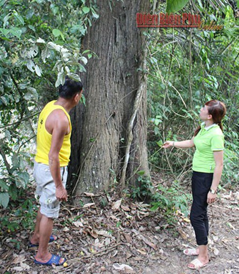 Chuyện rừng Ma bản Lói - ảnh 1