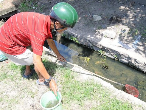 Những ổ lăng quăng khủng khiếp - ảnh 1