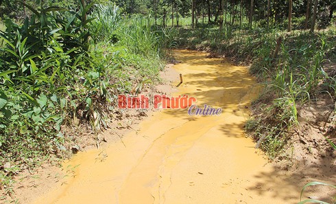 “Nóng” chuyện mỏ vàng ở xã Phú Riềng - ảnh 4