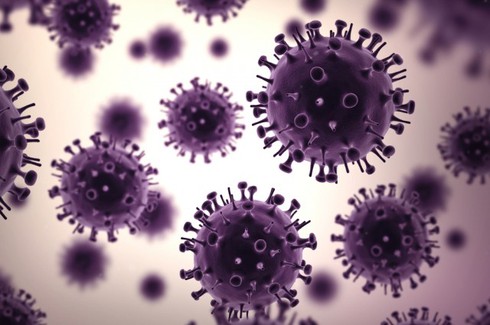 Tìm ra virus gây bệnh chỉ trong một lần xét nghiệm máu - ảnh 1