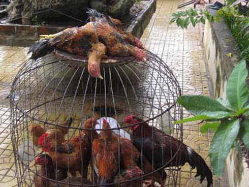 Lòi đuôi cáo từ chiếc điện thoại đánh rơi - ảnh 1