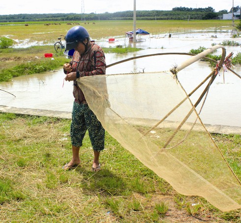 Rủ nhau đi bắt cá con - ảnh 3