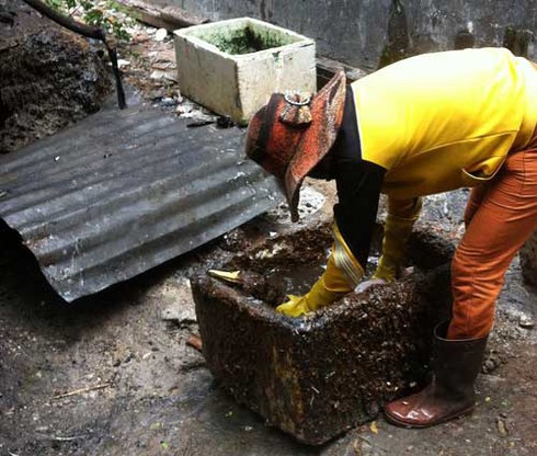 Kinh ngạc nhổ lông gà, vịt “siêu nhanh” - ảnh 1