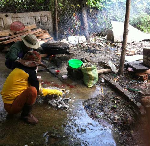 Kinh ngạc nhổ lông gà, vịt “siêu nhanh” - ảnh 2