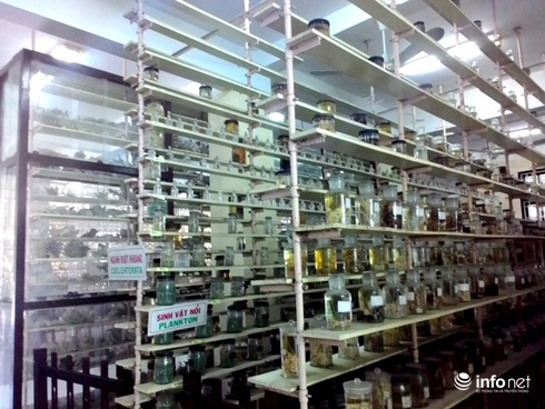 14 điểm du lịch không thể bỏ qua khi tới Khánh Hòa - ảnh 3