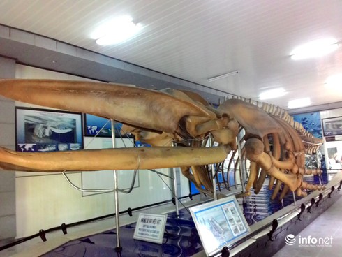 14 điểm du lịch không thể bỏ qua khi tới Khánh Hòa - ảnh 2