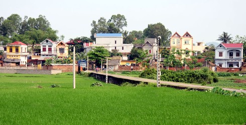 Ban hành tiêu chí xã, huyện nông thôn mới trong tháng 12 - ảnh 1