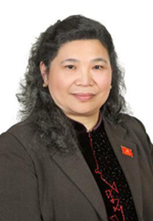 Danh sách Bộ Chính trị khóa 11 gồm những đồng chí nào? - ảnh 11