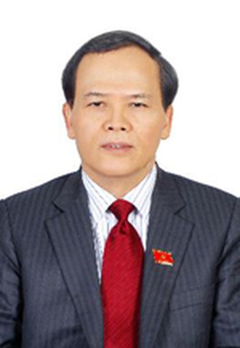 Danh sách Bộ Chính trị khóa 11 gồm những đồng chí nào? - ảnh 12