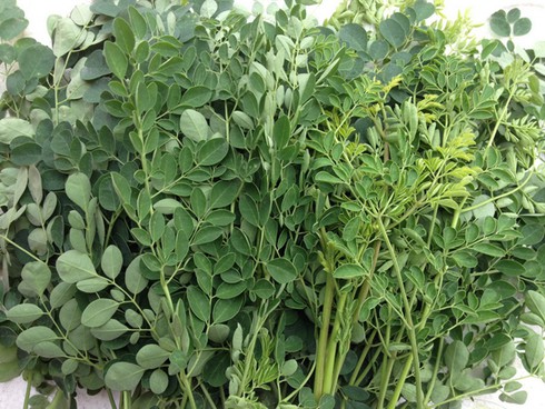 10 loại thực phẩm dễ gây sảy thai tự nhiên - ảnh 8