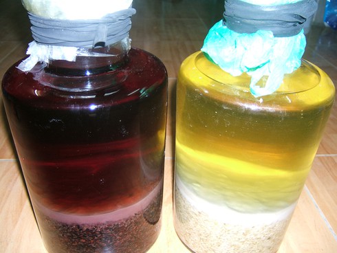 Cướp 1 bình rượu, 5 thanh niên bị bắt khẩn cấp - ảnh 1