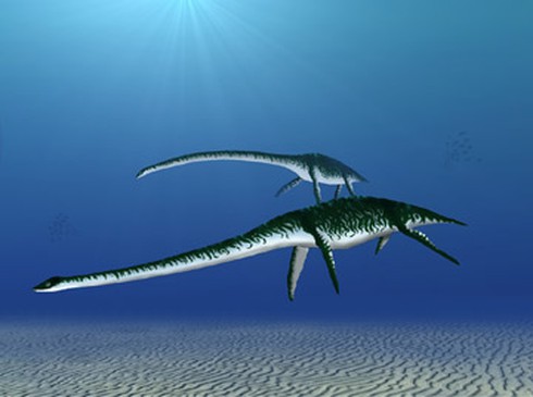 Khủng long biển cổ đại bơi như chim cánh cụt - ảnh 1