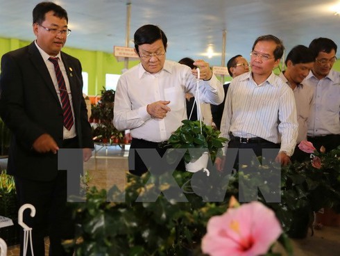 Chủ tịch nước khảo sát mô hình nông nghiệp công nghệ cao ở Lâm Đồng - ảnh 1