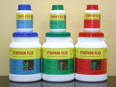 Chất làm chín trái cây Ethephon không gây hại cho sức khỏe - ảnh 1