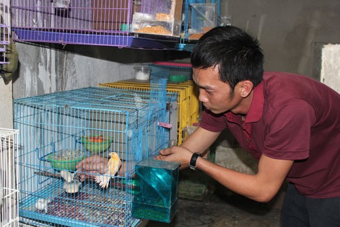 Nở rộ trào lưu nuôi...