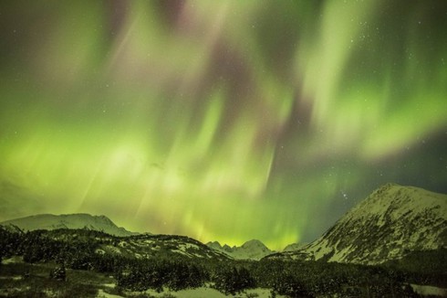 Những dải lụa ánh sáng từ bão Mặt Trời - ảnh 1