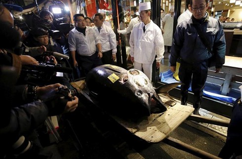 Con cá ngừ trị giá 2,6 tỷ đồng tại chợ cá nổi tiếng Nhật Bản - ảnh 2