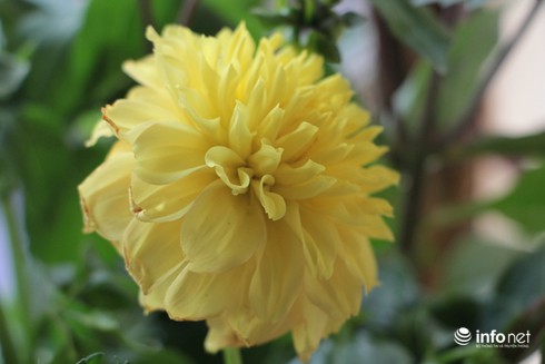 Điều ít biết về