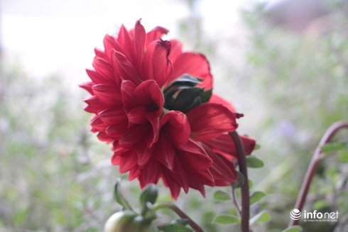 Điều ít biết về