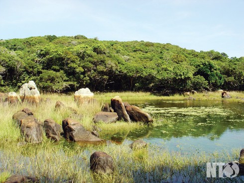 Voọc chà vá chân đen ở Vườn quốc gia Núi Chúa - ảnh 3