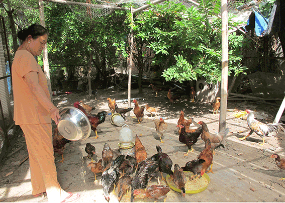 Về thôn quê