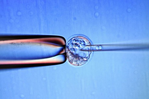 Nước Anh phê chuẩn kỹ thuật chỉnh sửa gen người - ảnh 1