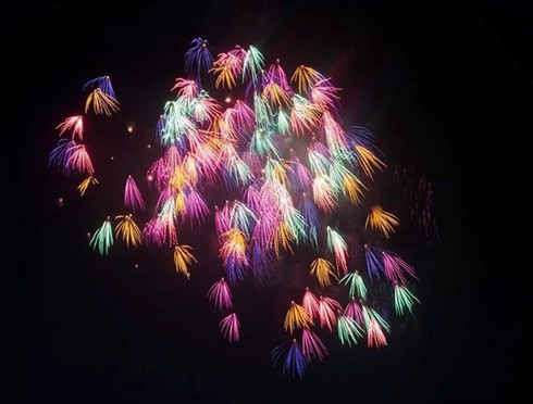 6 địa điểm bắn pháo hoa giao thừa ở Long An dịp Tết Bính Thân 2016 - ảnh 1