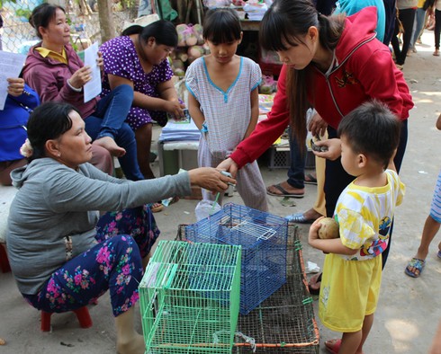 Tội nghiệp chim phóng sinh - ảnh 1