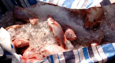 Gần 14 tỷ đồng “trôi” trên sông - người dân đau lắm! - ảnh 3