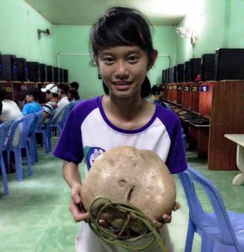 Củ sắn “khủng” nặng 4,2 kilogam - ảnh 2