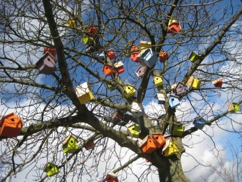 7 năm, xây 3.500 ngôi nhà... cho chim - ảnh 1