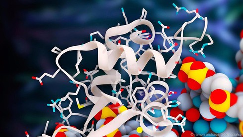 Điểm danh các sinh vật gần như