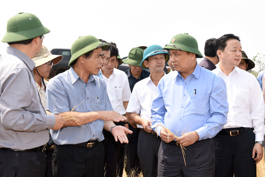 Phó Thủ tướng Nguyễn Xuân Phúc: Không để dân đói khát do nắng hạn! - ảnh 1